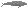 コククジラ(補助艦艇規格)
